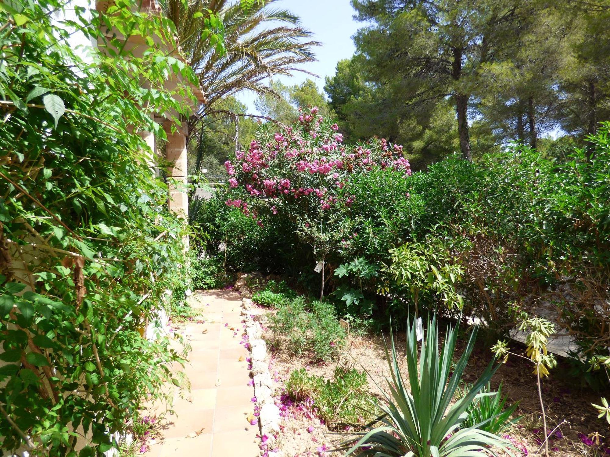 Villa Herdain Cielo de Bonaire Ngoại thất bức ảnh